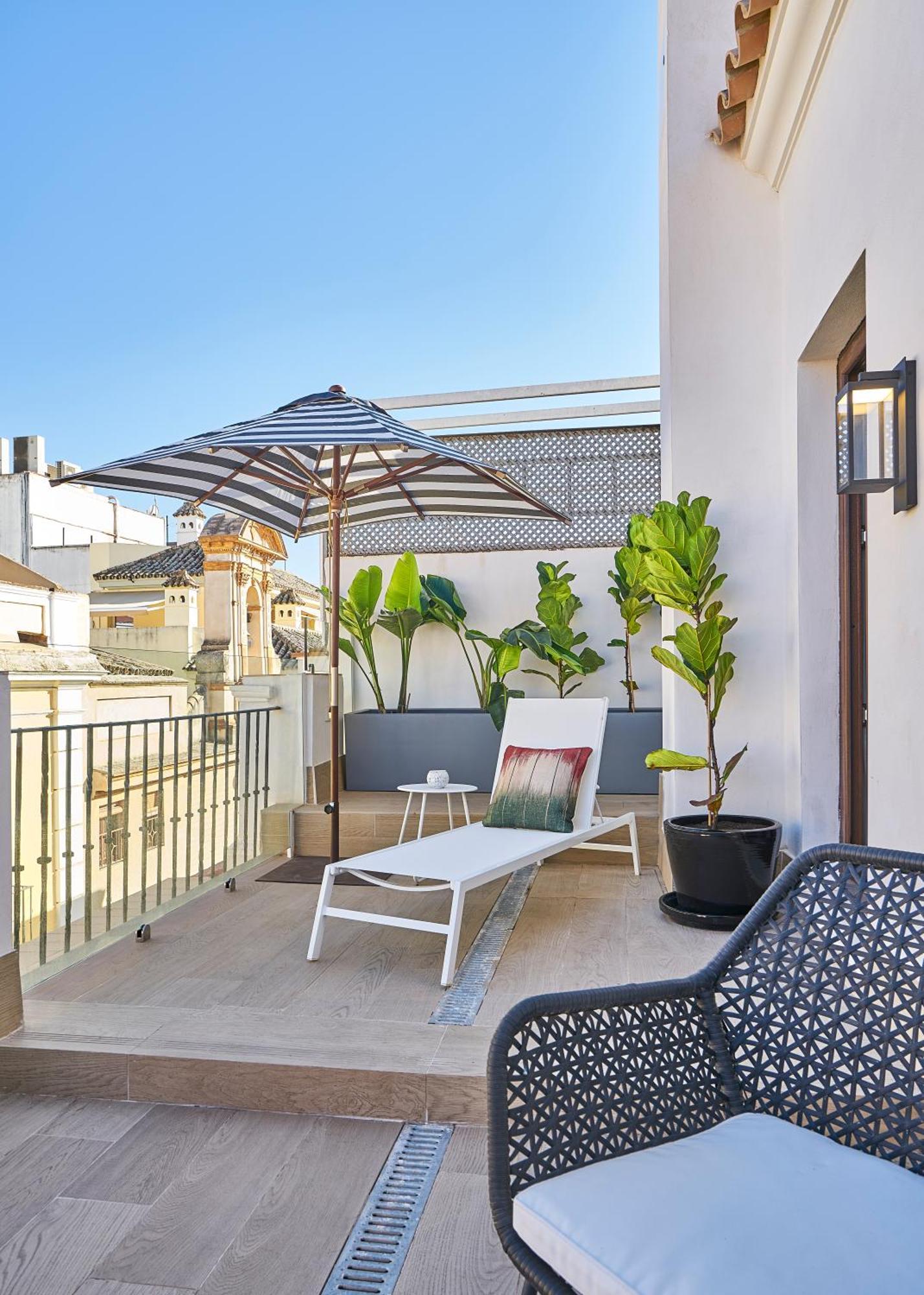 Suite Terrace