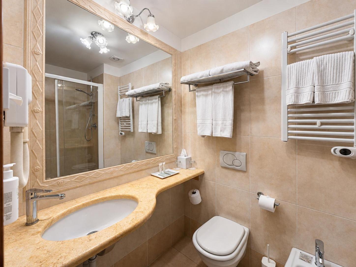 Standard Double or Twin Room Valley View