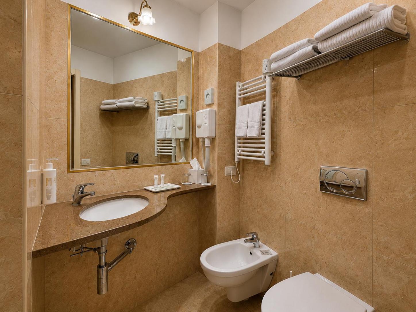 Standard Double or Twin Room Internal View