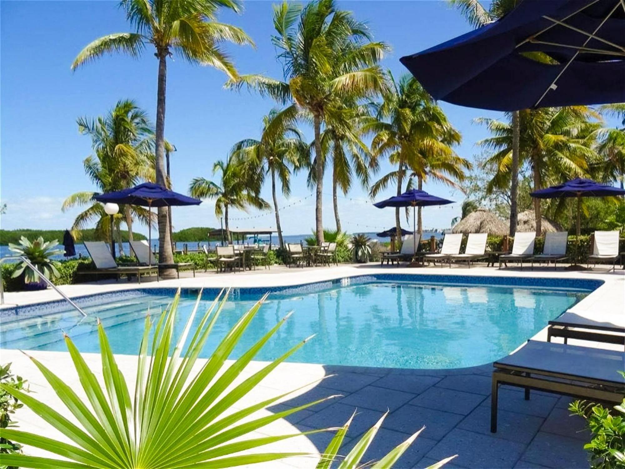 Junior Suite Pool View