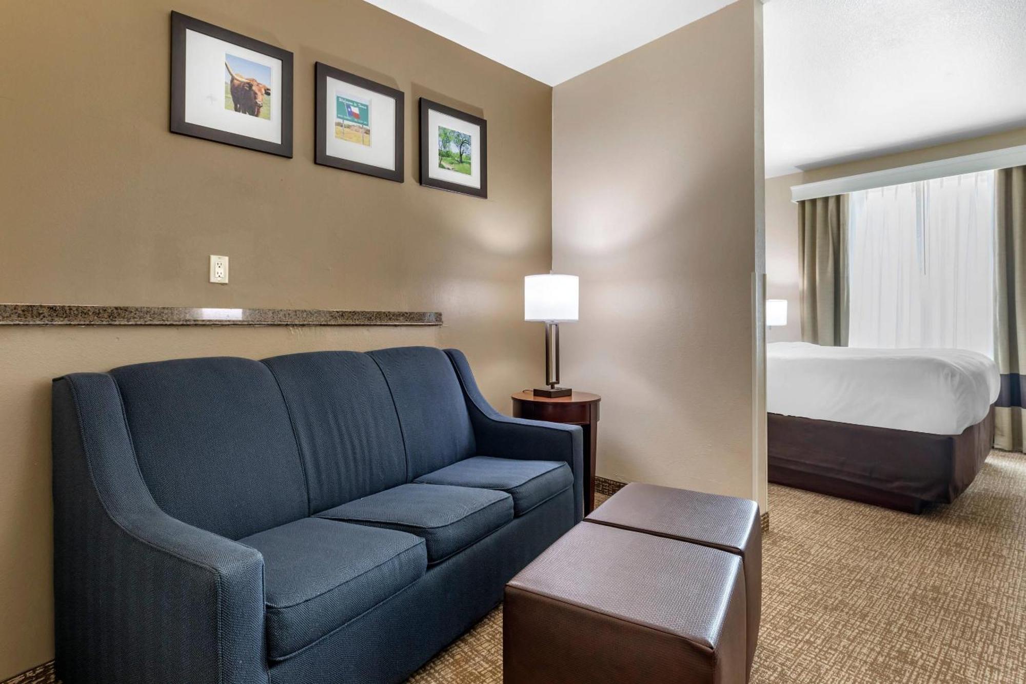 King Suite Sofa Bed Non-Smoking