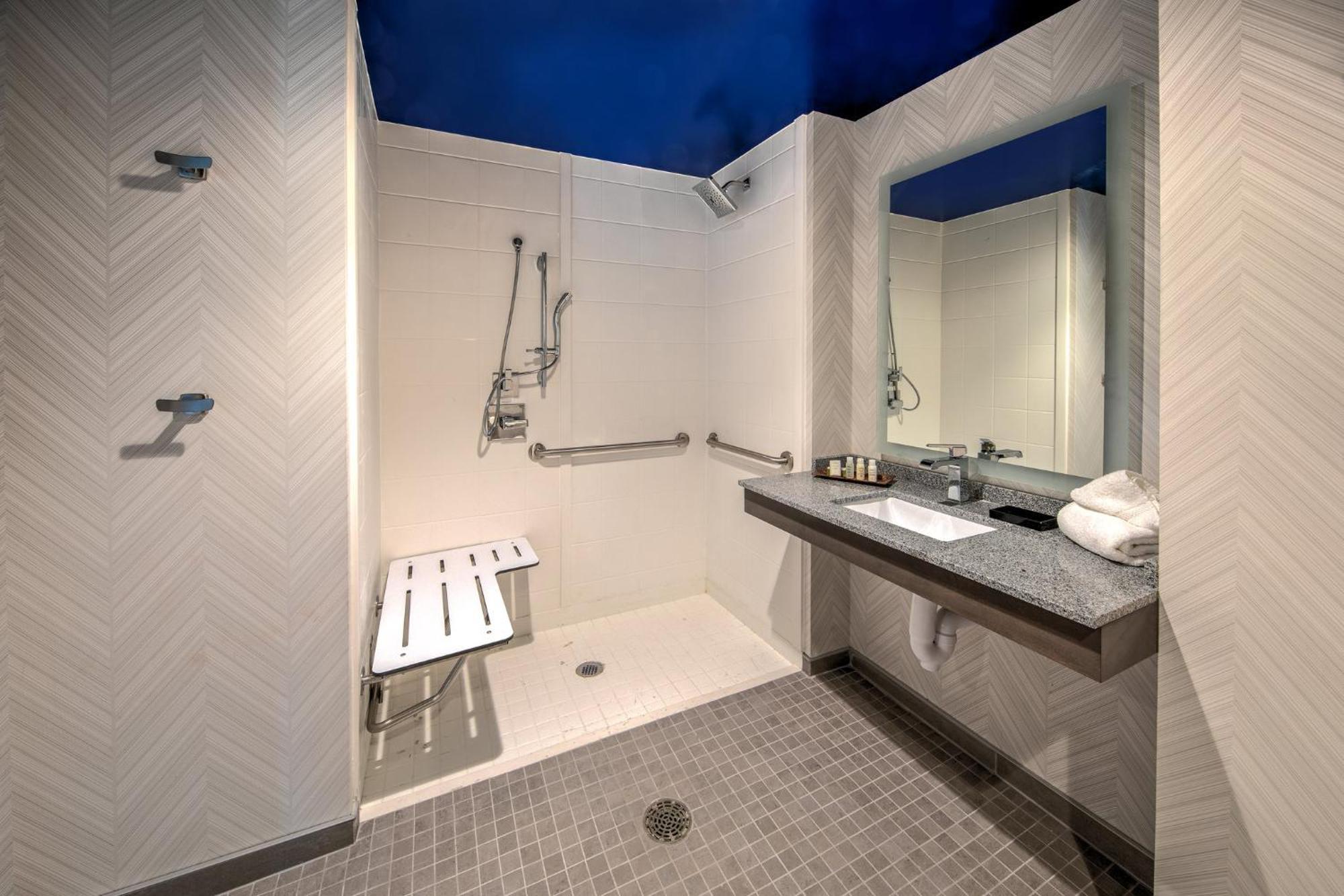 King Suite Roll Shower Disability Access or Non-Smoking
