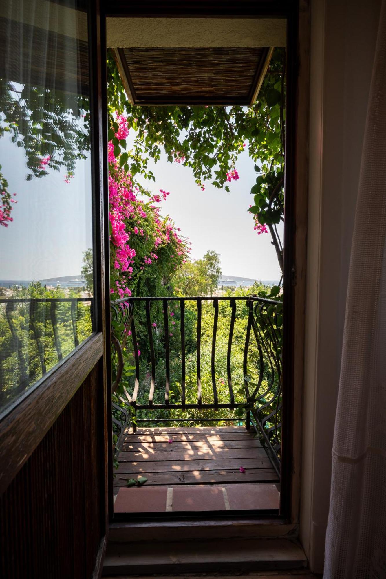 Standart Double or Twin Room Sea View