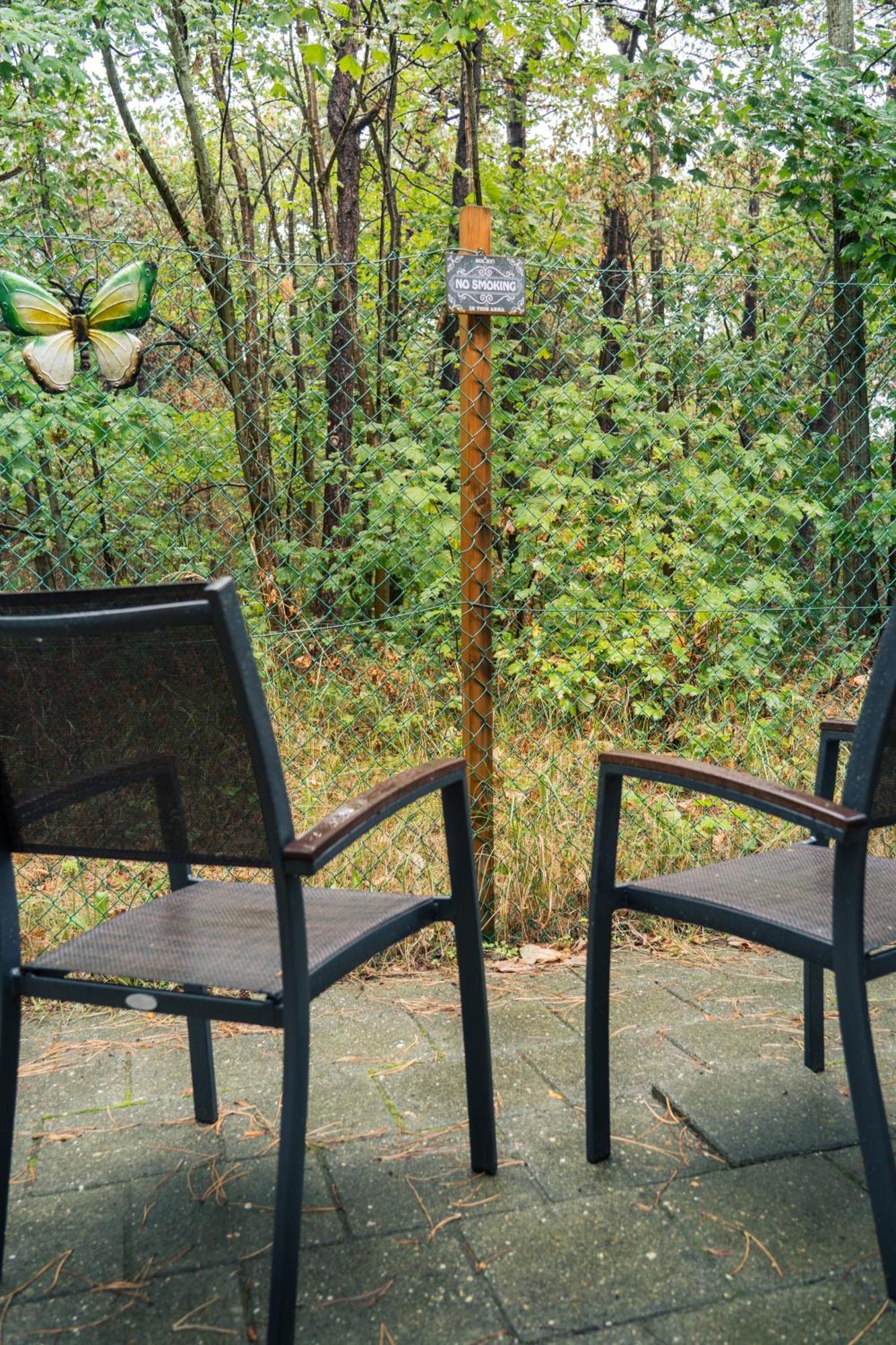 Studio Terrace