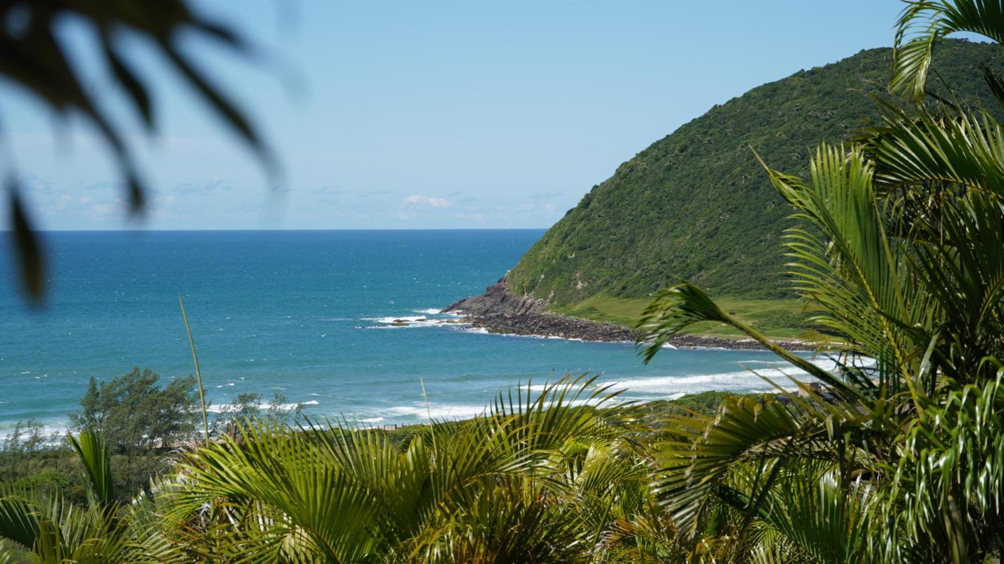 Deluxe King Studio