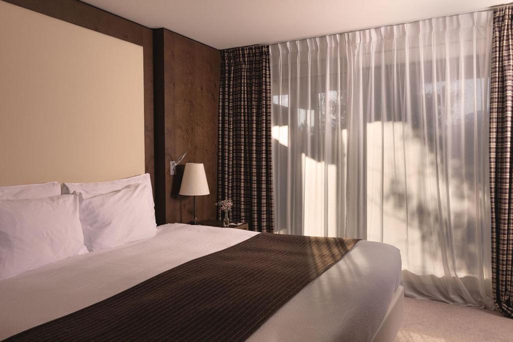 Suite Mountain View