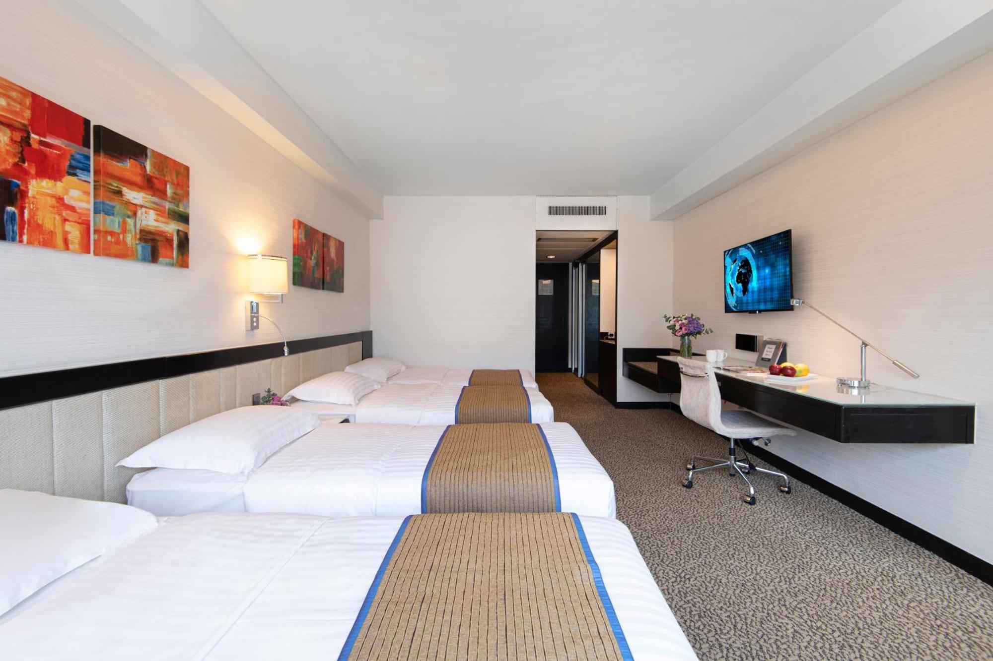 Superior Twin Sofa Bed Room