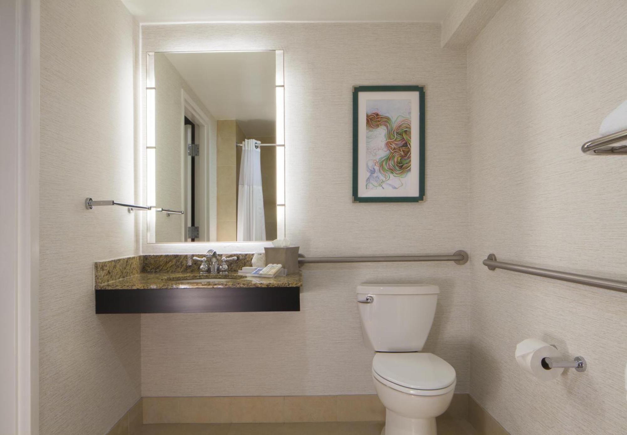 King Room Accessible Tub Mobility Access