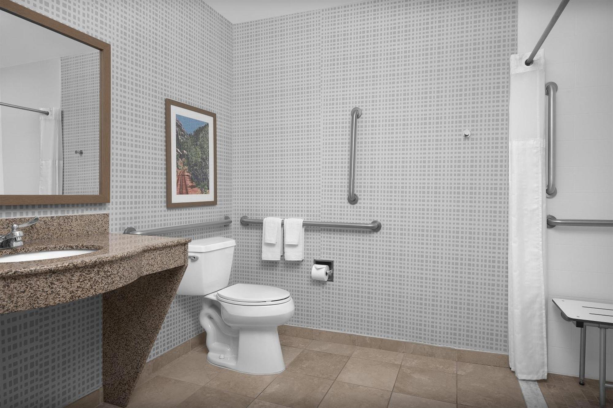 King Room Bath Tub Mobility Access