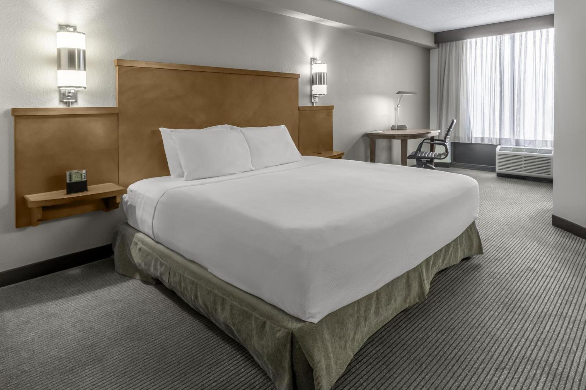 King Room Sofa Bed Roll Shower Disability Access