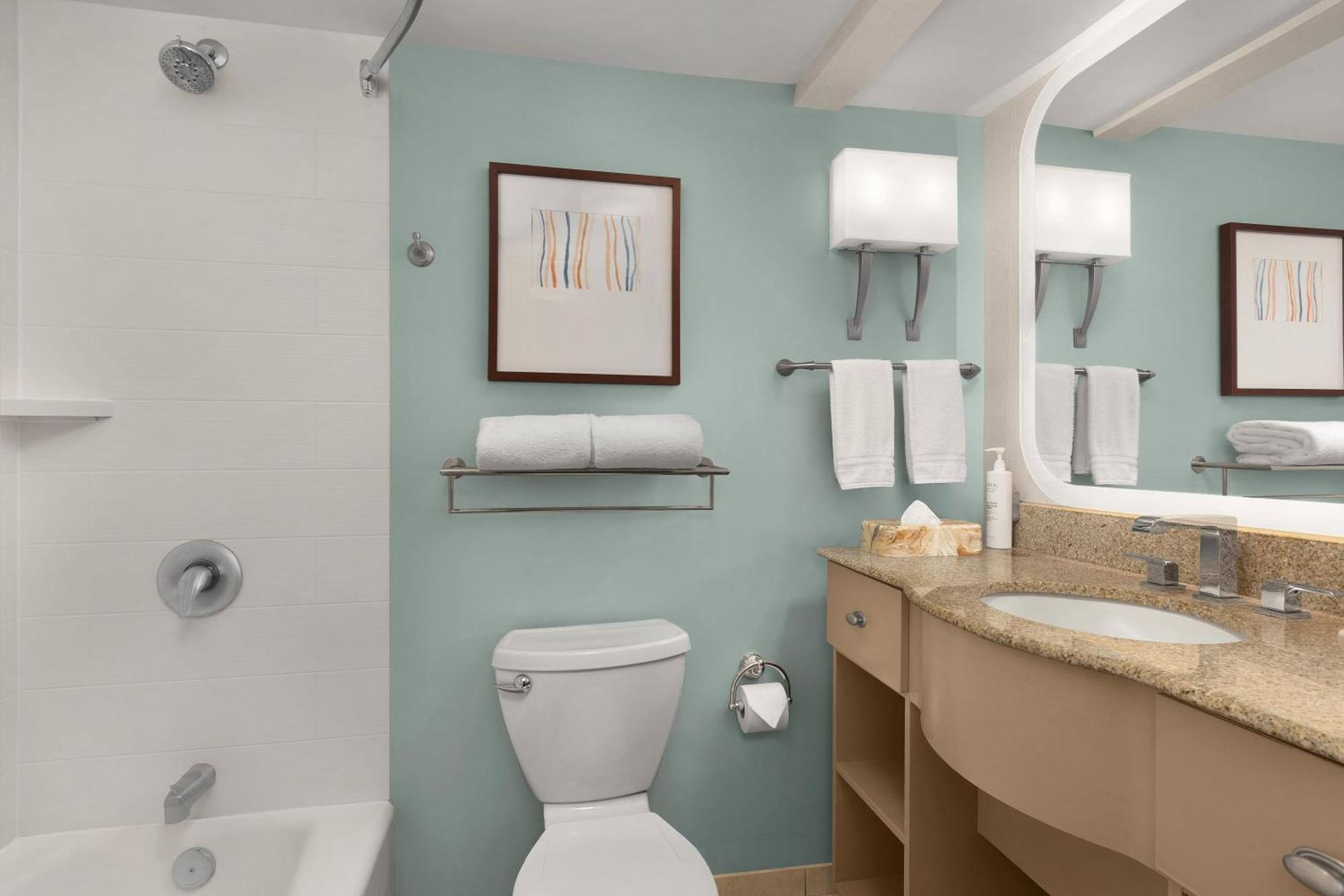 One-Bedroom Queen Suite Non-Smoking