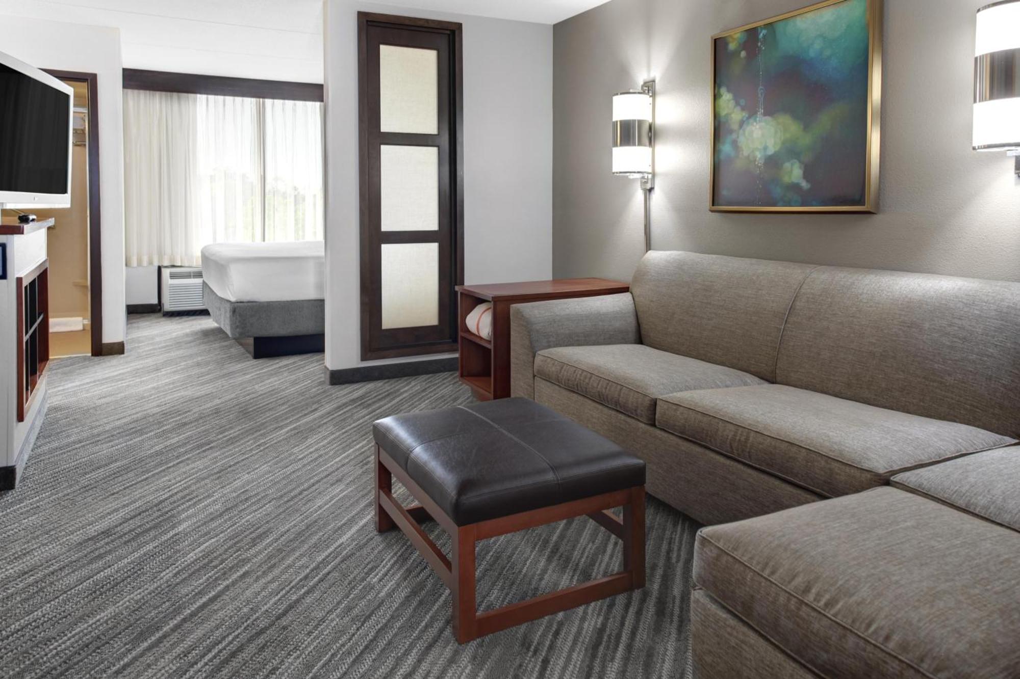 King Room Sofa Bed Accessible Tub Disability Access
