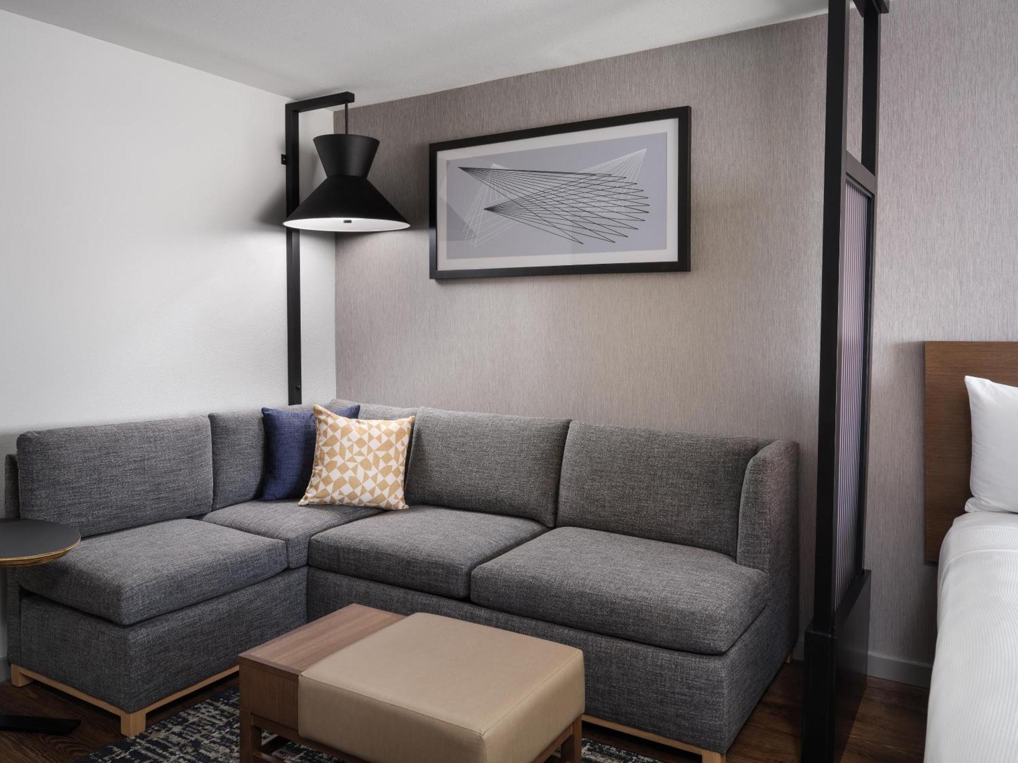 Specialty King Room Sofa Bed