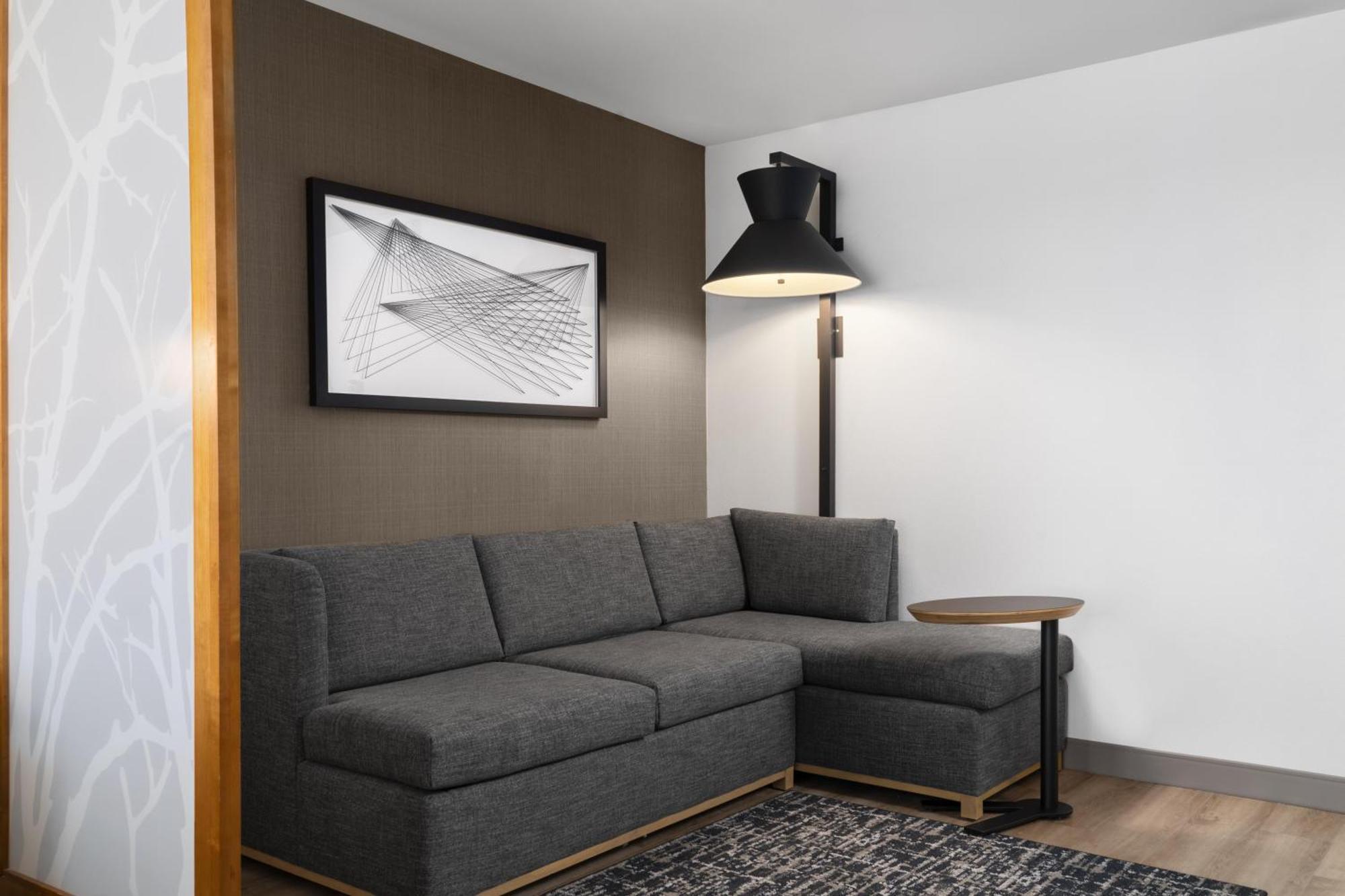 King Room Sofa Bed