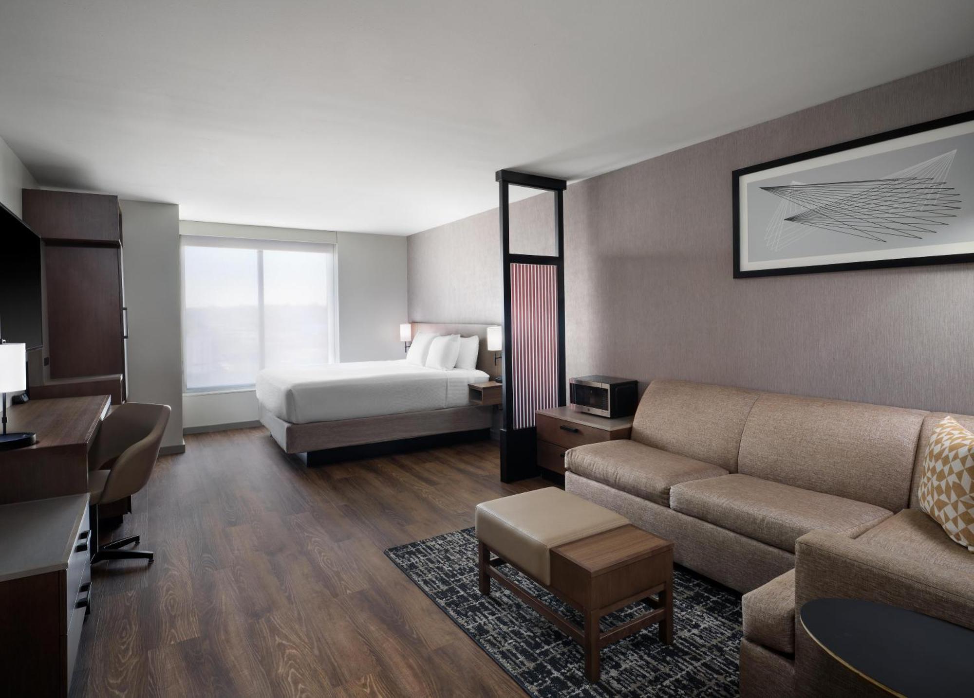 Specialty King Room Sofa Bed