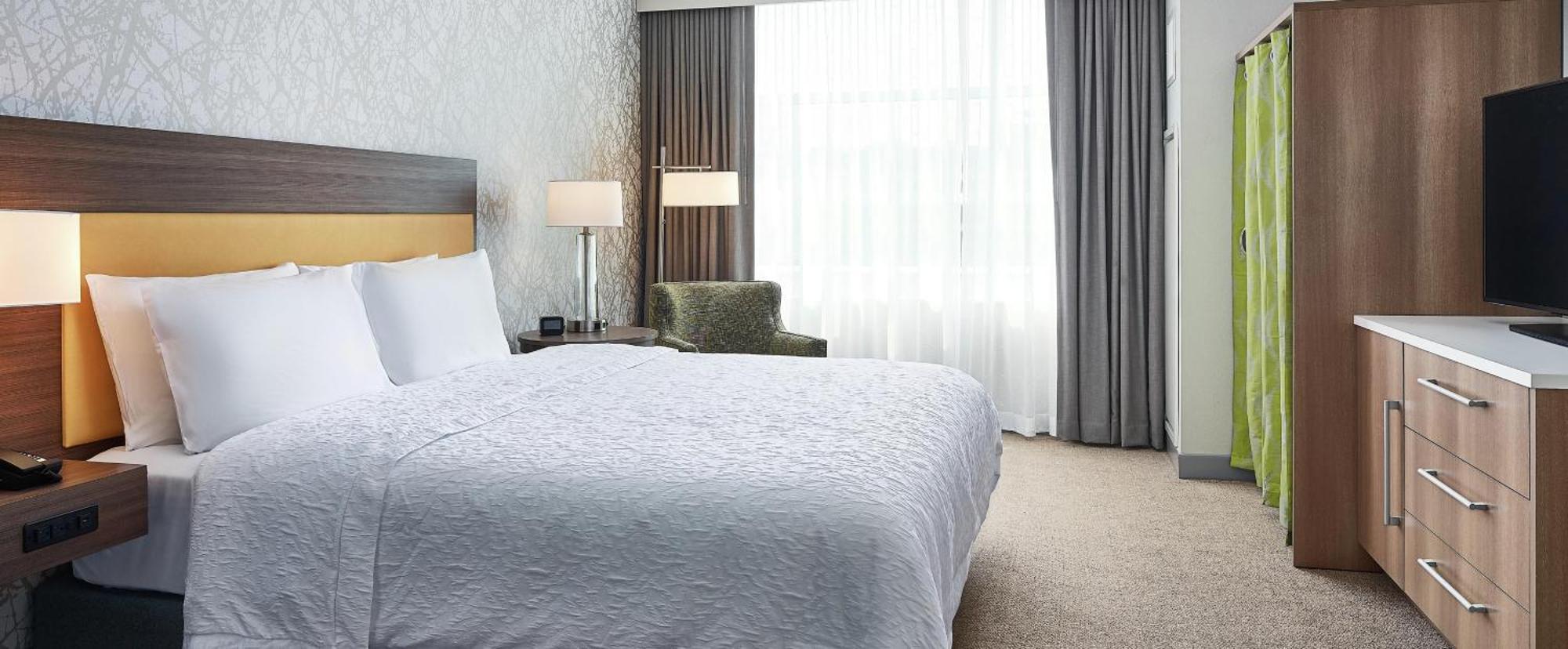One-Bedroom King Suite Non-Smoking