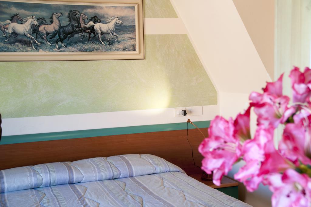 Standard Double Room,194383228:JPEG
