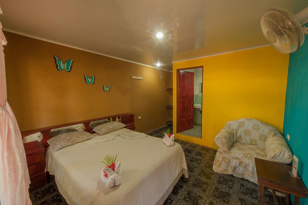 Single Room,228594494:JPEG