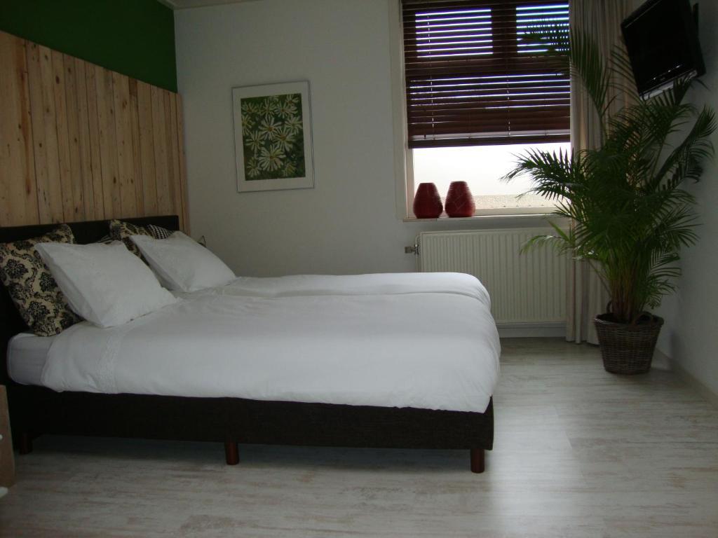 Double Room,21973257:JPEG