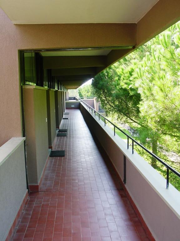 Studio Terrace,222848990:JPEG