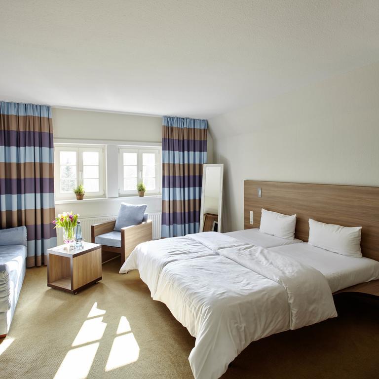 Comfort Double Room pets not allowed