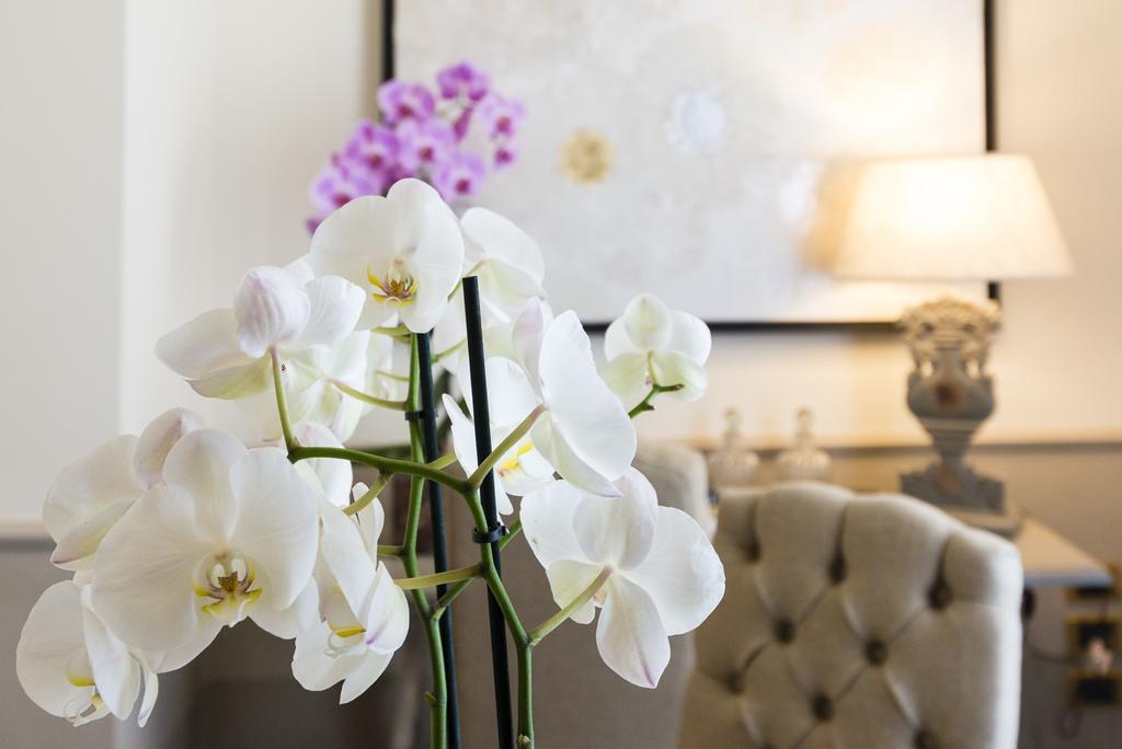 Superior Double or Twin Room One-time SPA access