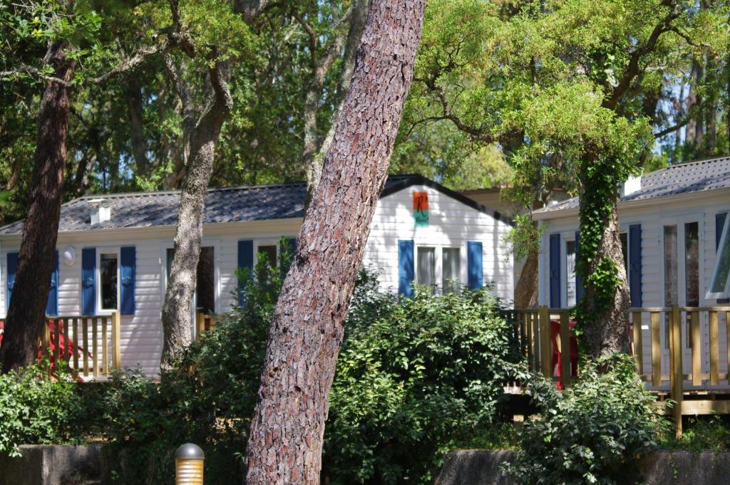 Two-Bedroom Mobile Home,28517180:JPEG