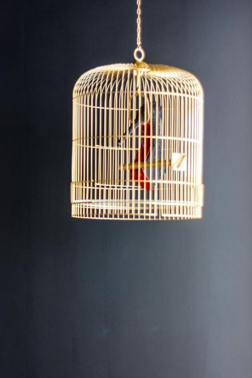 Deluxe Suite,363577225:JPEG