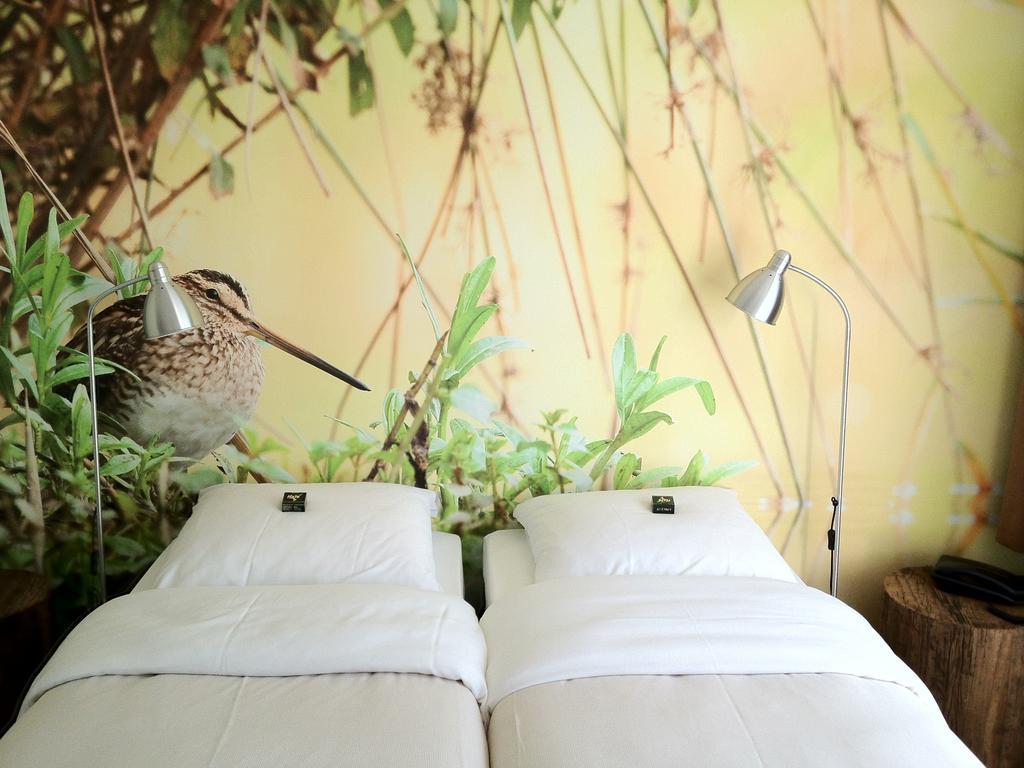 Standard Double Room,328699681:JPEG