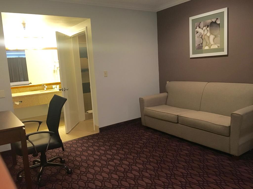 King Studio Sofa Bed,331228573:JPEG