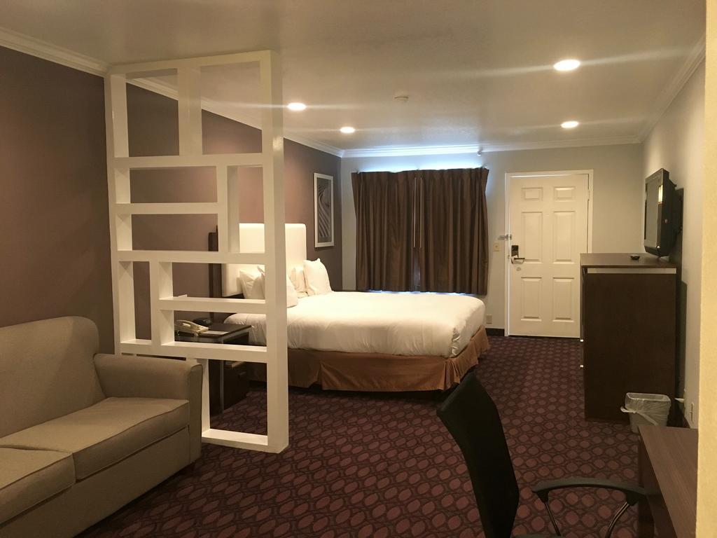 King Studio Sofa Bed