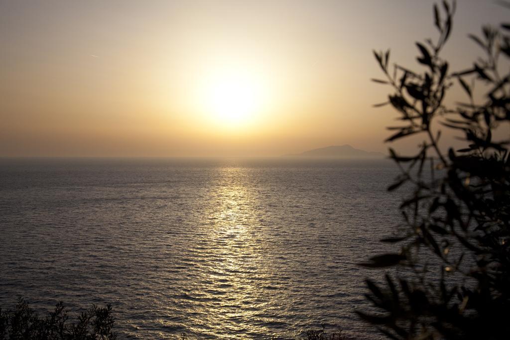 Suite Sea View,343056532:JPEG