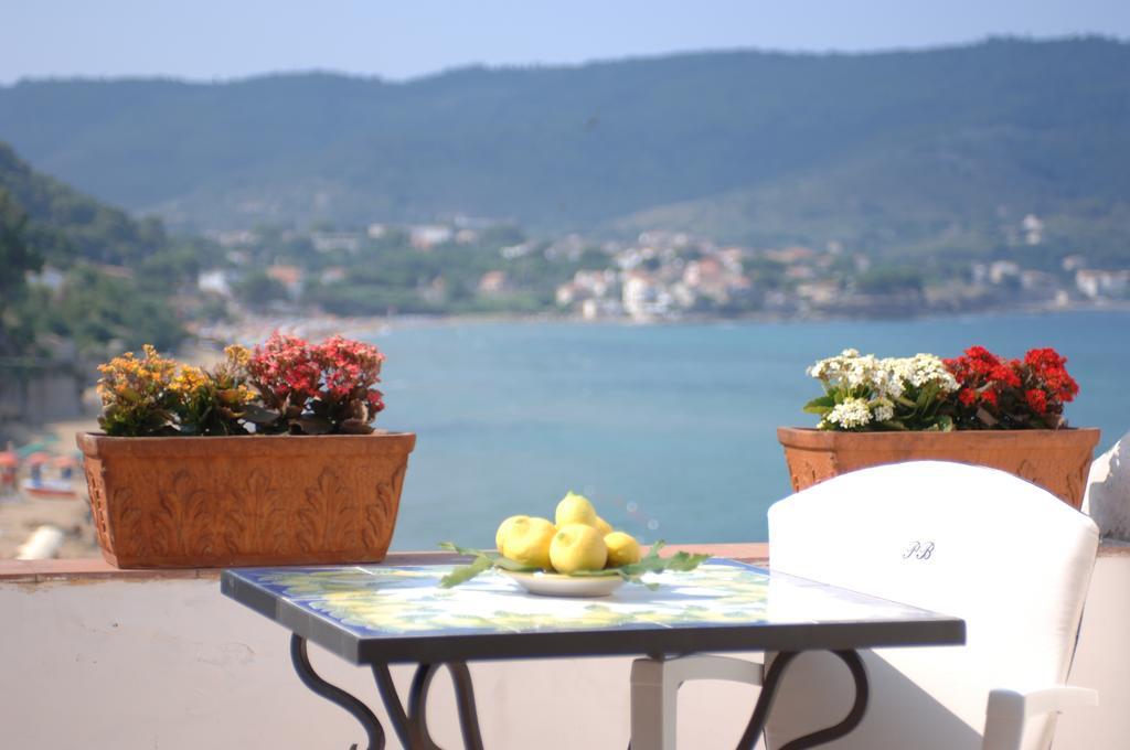 Suite Terrace,685763607:JPEG