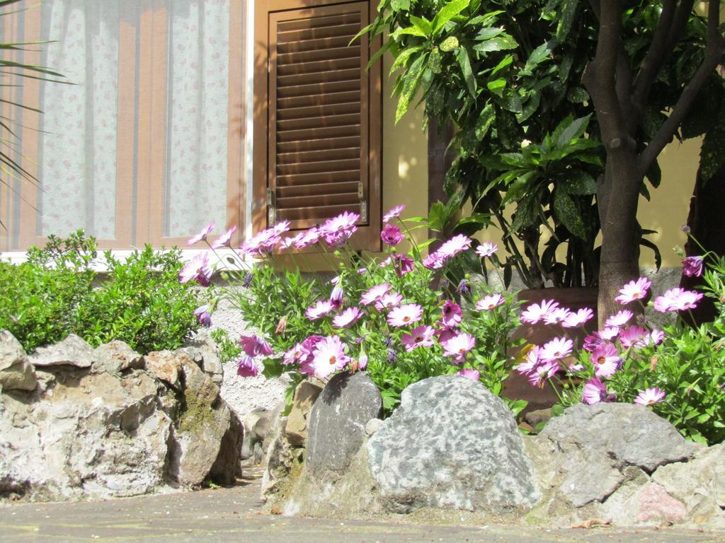 Camera Queen con Vista Giardino