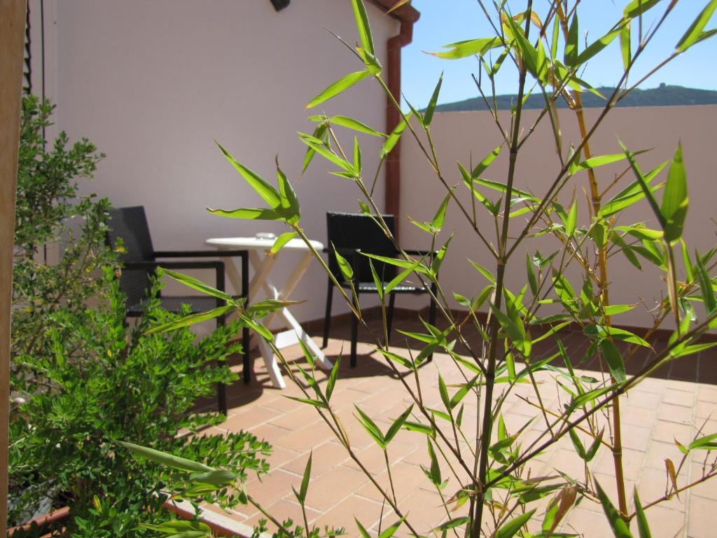 Twin Room Terrace,186499023:JPEG