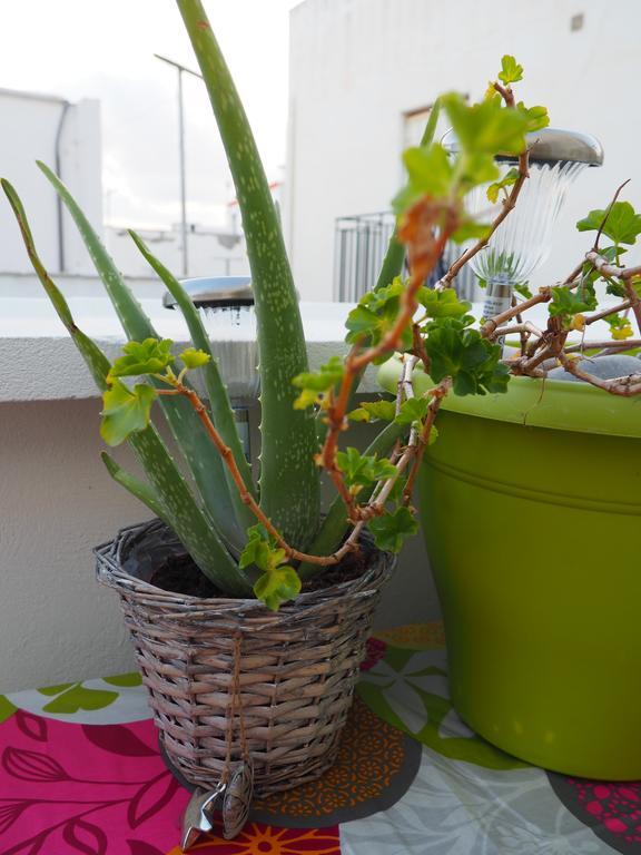Double Room Terrace