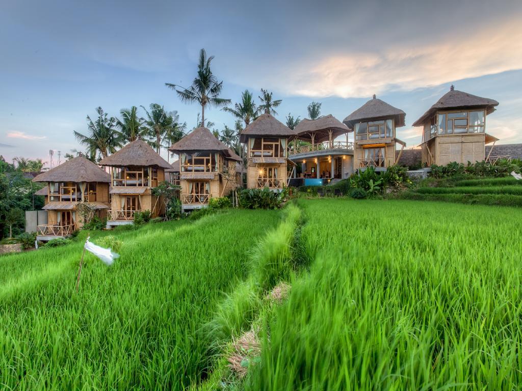 One-Bedroom Bamboo House Garden View