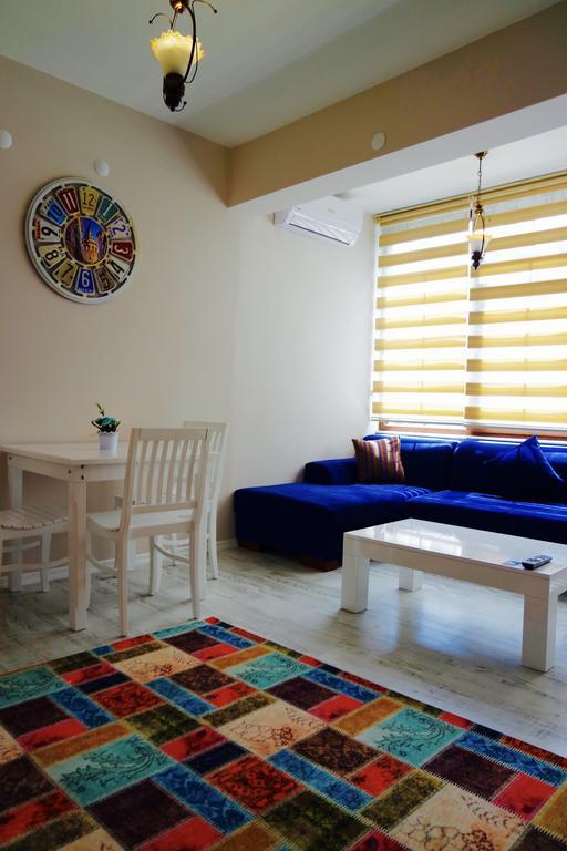 Large One-Bedroom Apartment