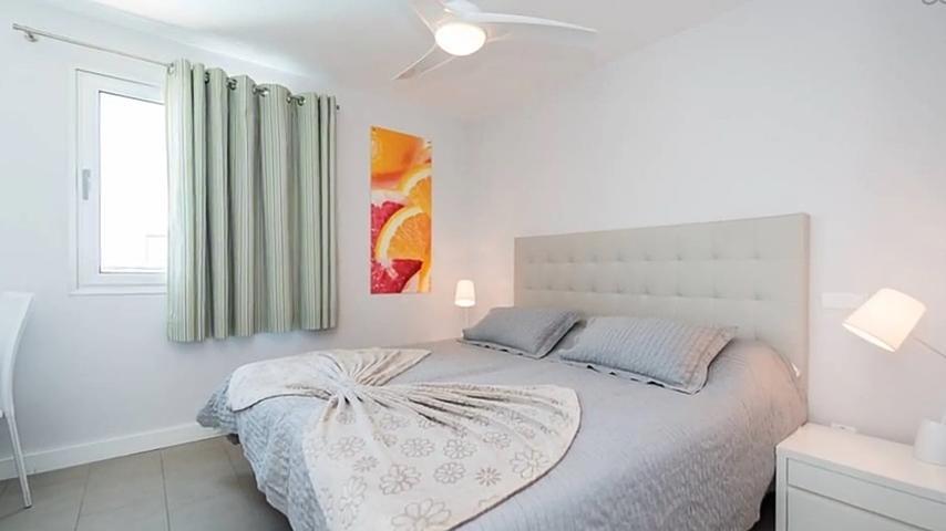 One-Bedroom Apartment,236878993:JPEG