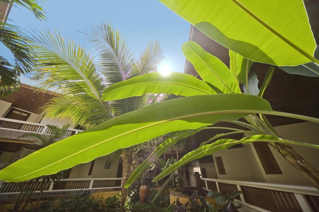 Garden Villa,686126709:JPEG