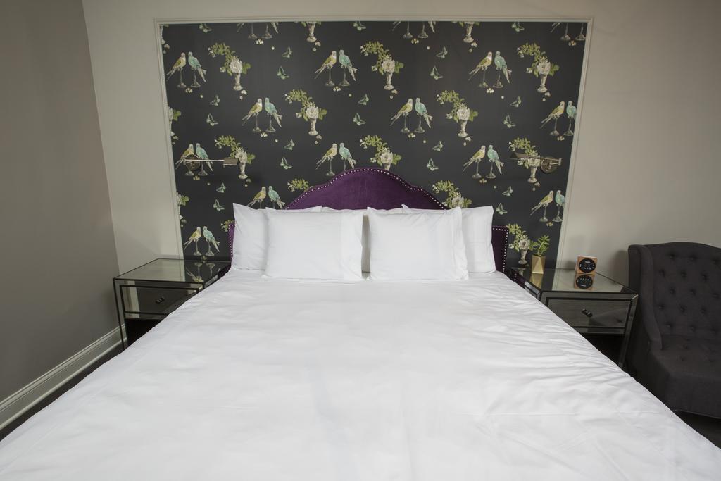 King Room,442279626:JPEG