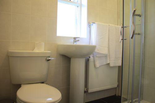 Single Room,6122309:JPEG