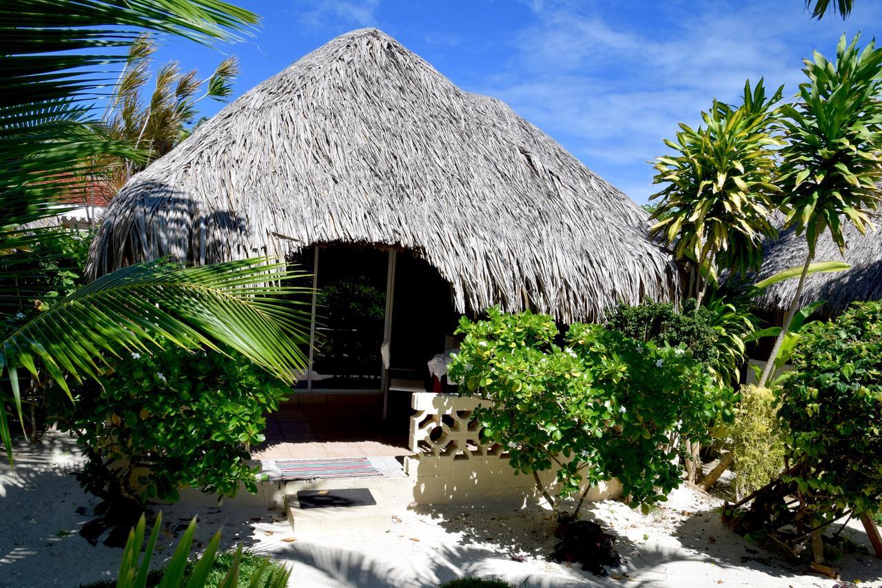 Bungalow Garden View