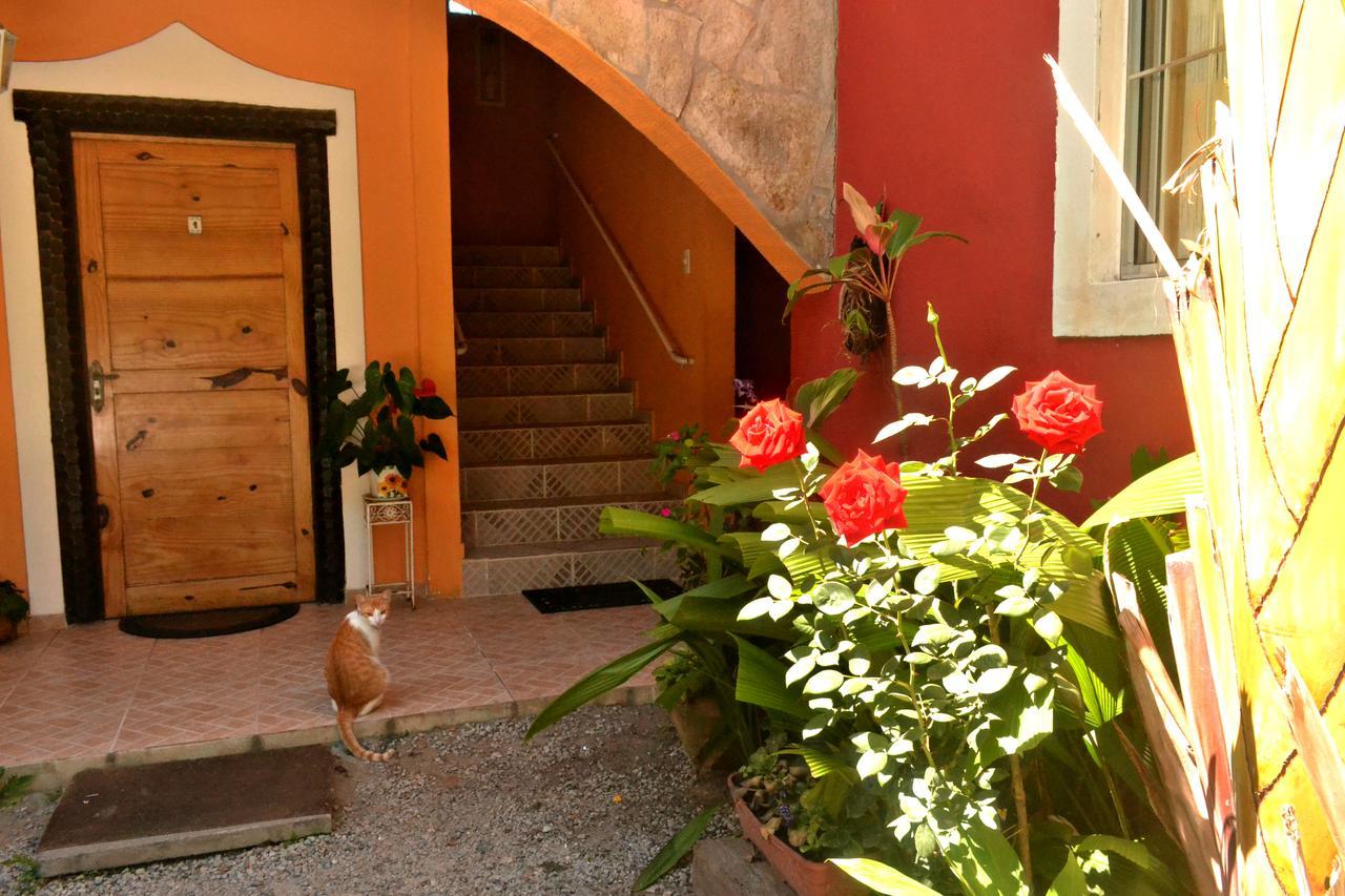 Standard Double or Twin Room Garden View