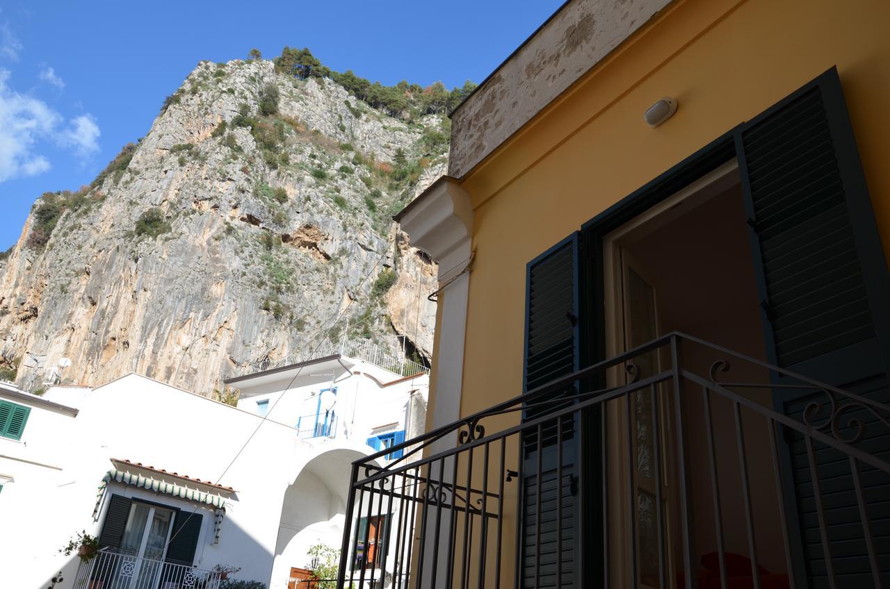 Junior Suite Terrace