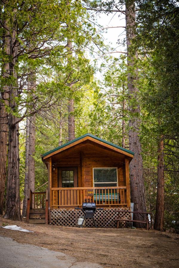 One-Bedroom Cabin,526349313:JPEG