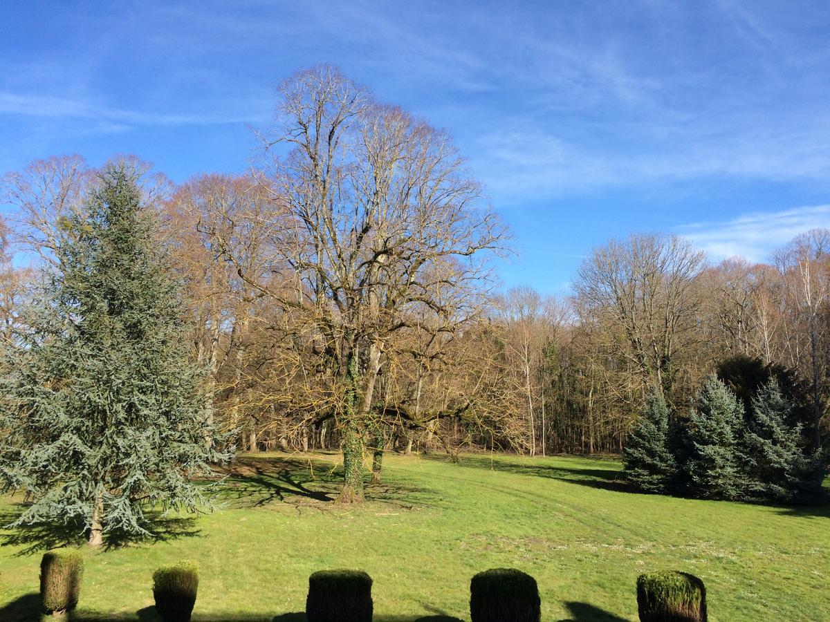 Double Room Garden View