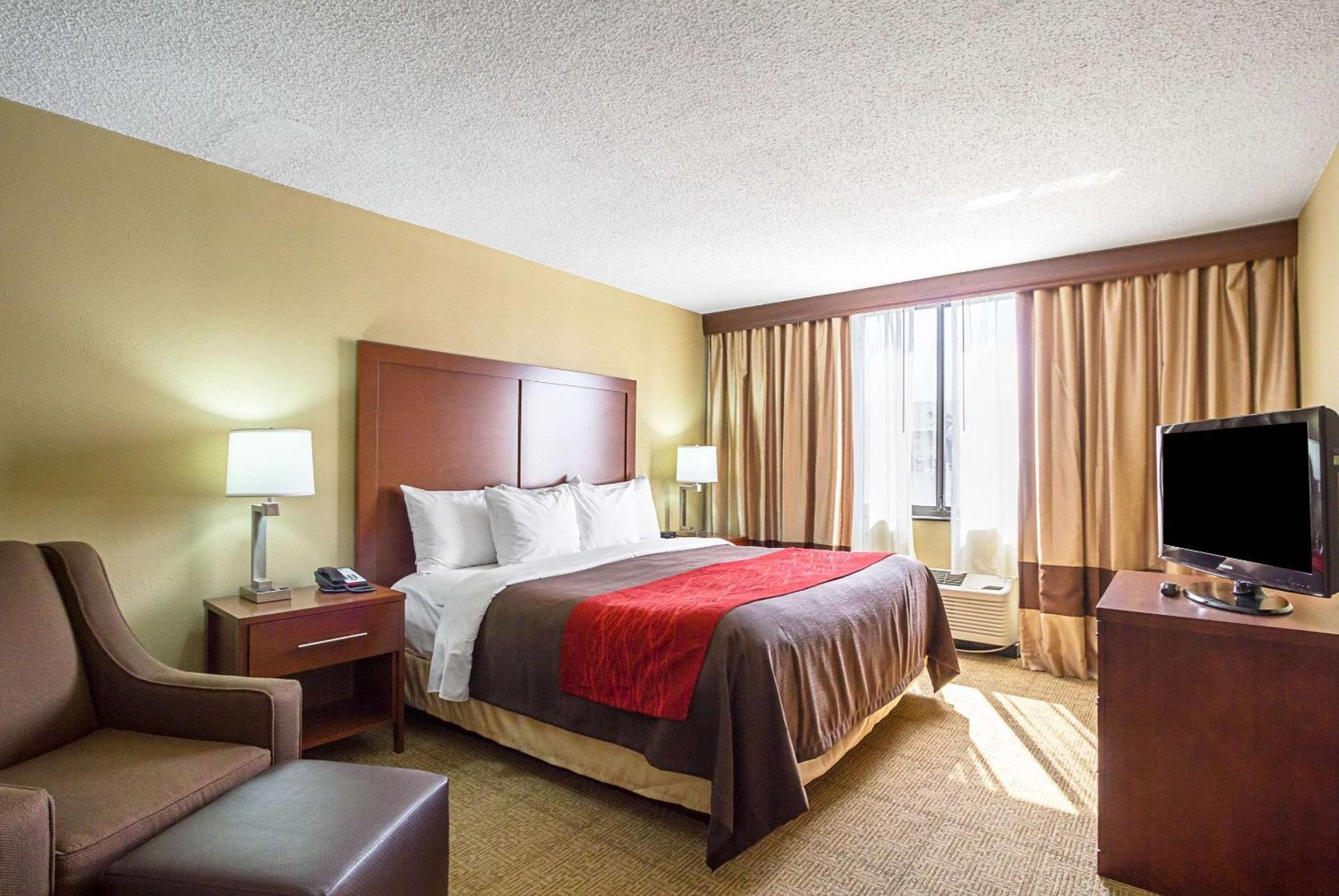 King Room,542095968:JPEG