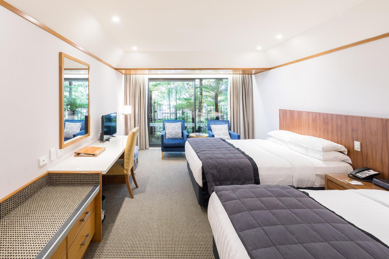 Premium Studio Two Queen Beds,547707399:JPEG