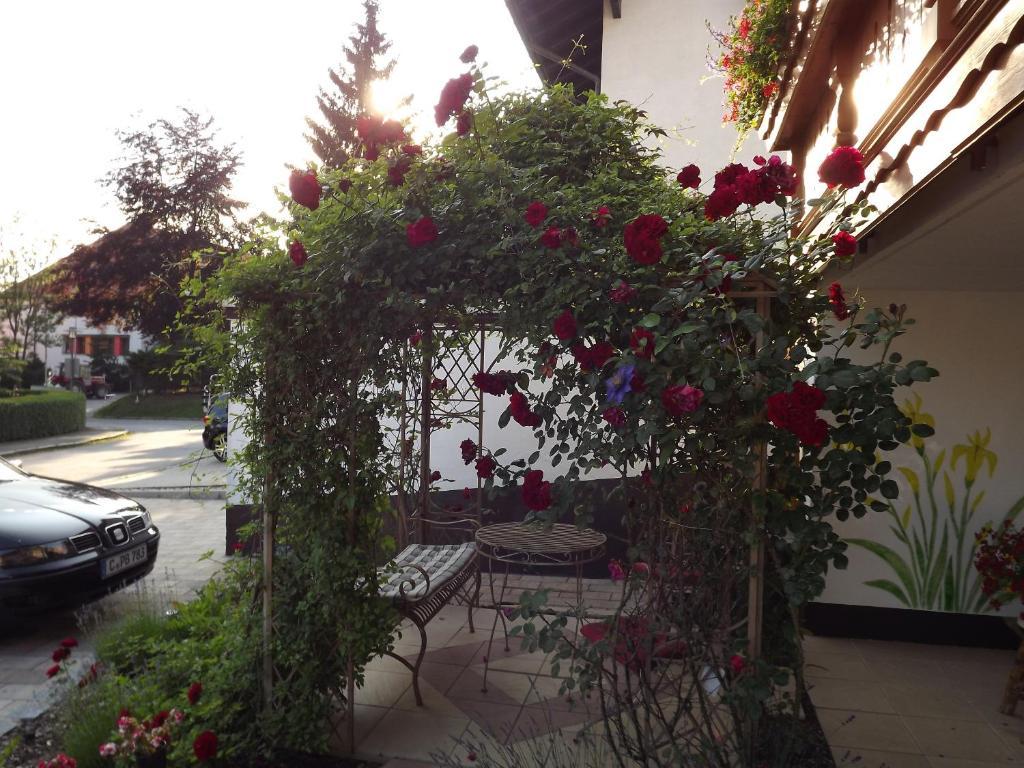 Single Room small balcony